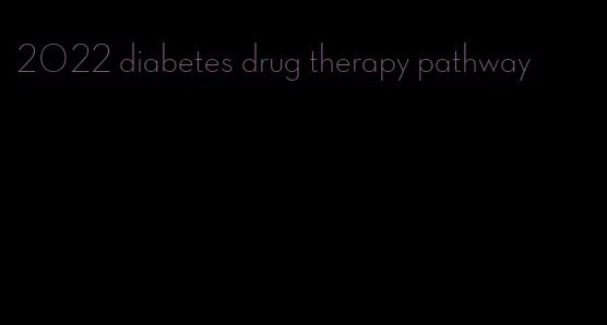 2022 diabetes drug therapy pathway