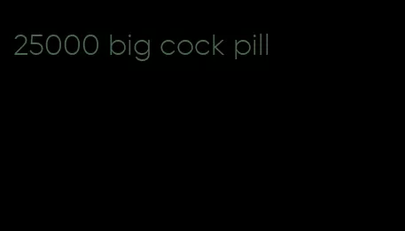 25000 big cock pill