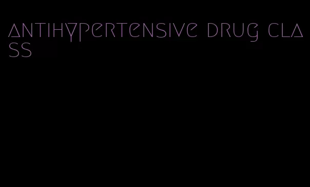 antihypertensive drug class