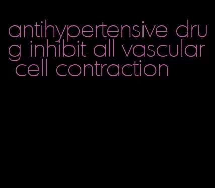 antihypertensive drug inhibit all vascular cell contraction