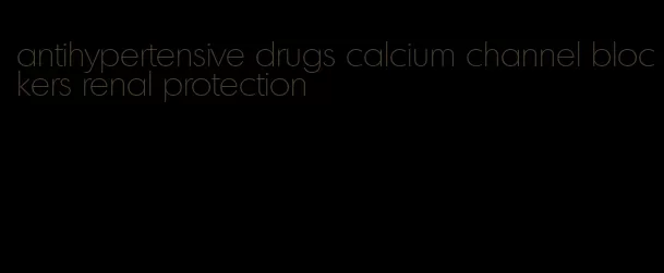 antihypertensive drugs calcium channel blockers renal protection