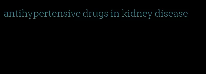 antihypertensive drugs in kidney disease