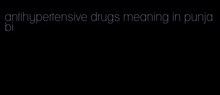 antihypertensive drugs meaning in punjabi