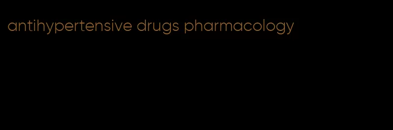 antihypertensive drugs pharmacology