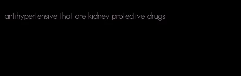 antihypertensive that are kidney protective drugs