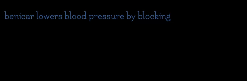benicar lowers blood pressure by blocking