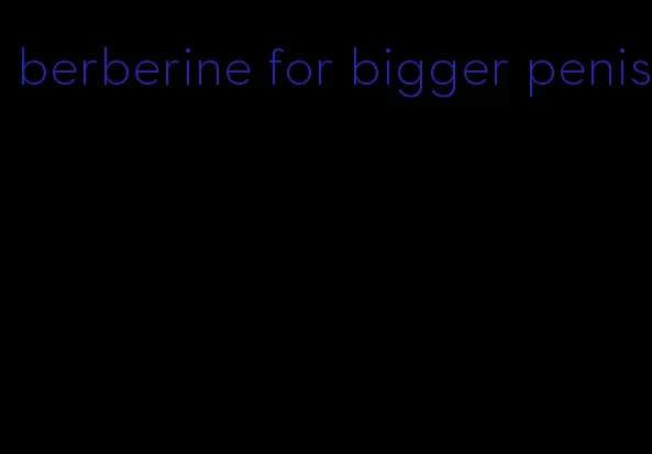 berberine for bigger penis