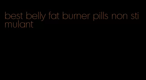 best belly fat burner pills non stimulant