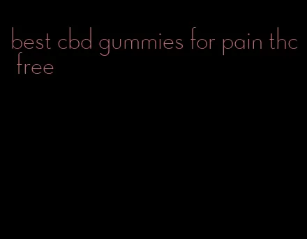best cbd gummies for pain thc free