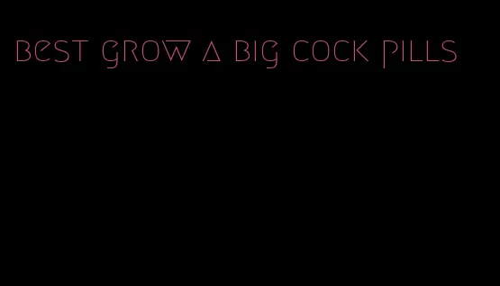 best grow a big cock pills