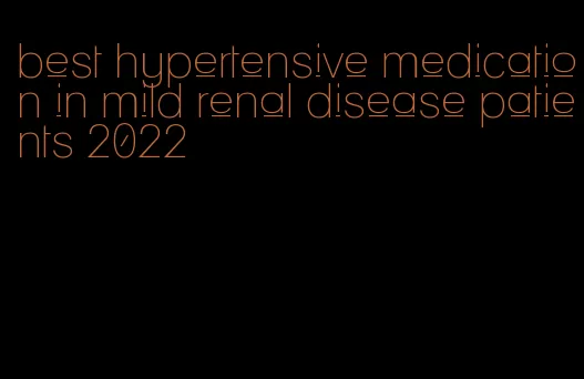 best hypertensive medication in mild renal disease patients 2022