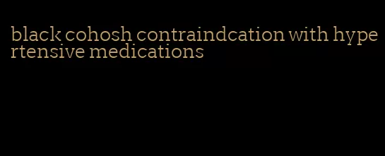 black cohosh contraindcation with hypertensive medications