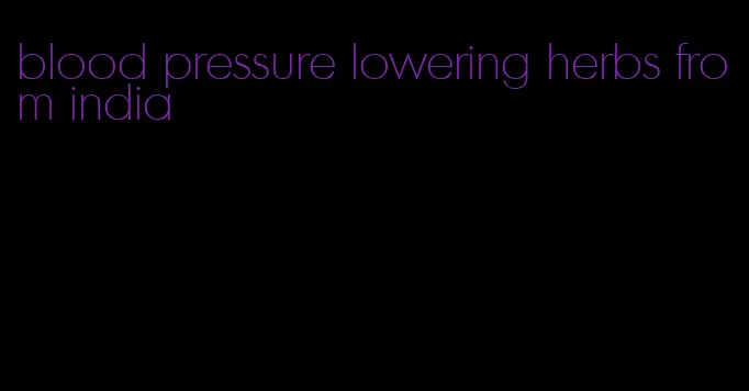 blood pressure lowering herbs from india