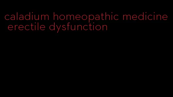 caladium homeopathic medicine erectile dysfunction
