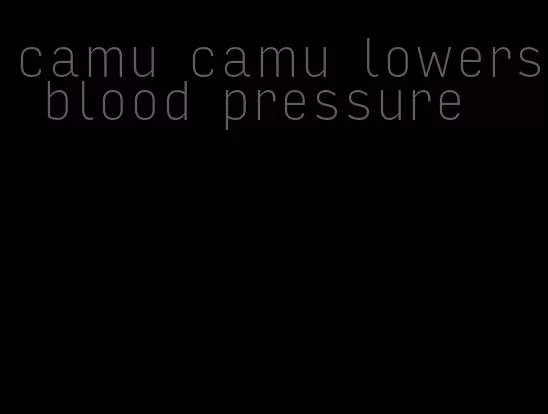 camu camu lowers blood pressure