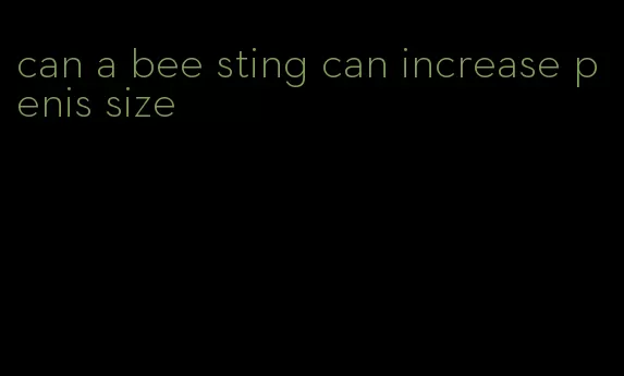 can a bee sting can increase penis size