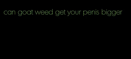 can goat weed get your penis bigger