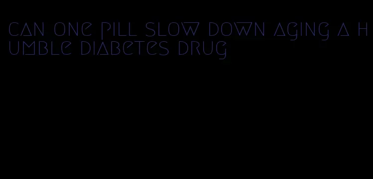 can one pill slow down aging a humble diabetes drug