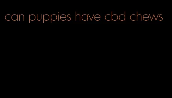 can puppies have cbd chews