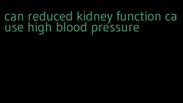can reduced kidney function cause high blood pressure