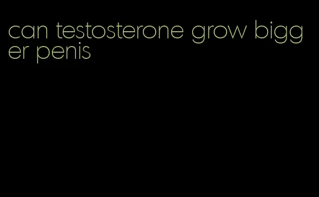 can testosterone grow bigger penis