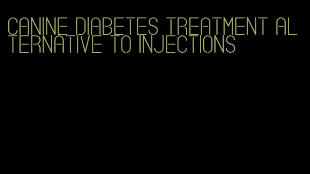 canine diabetes treatment alternative to injections