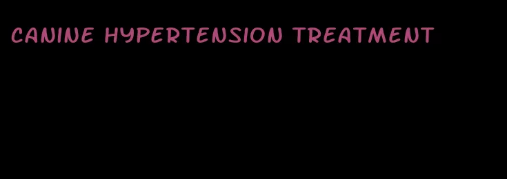 canine hypertension treatment