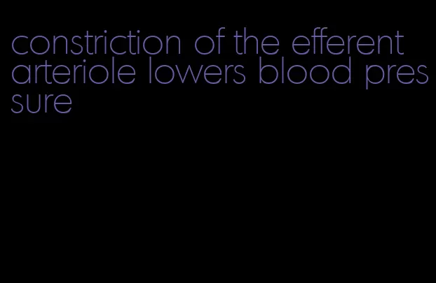 constriction of the efferent arteriole lowers blood pressure