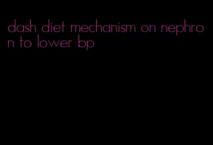 dash diet mechanism on nephron to lower bp