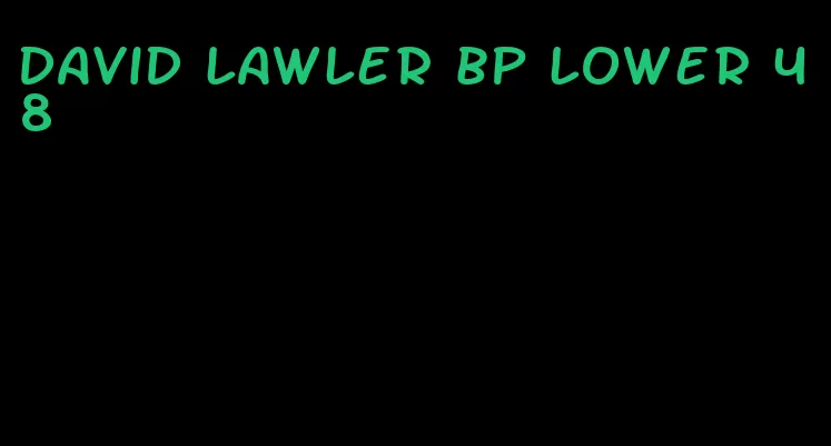 david lawler bp lower 48