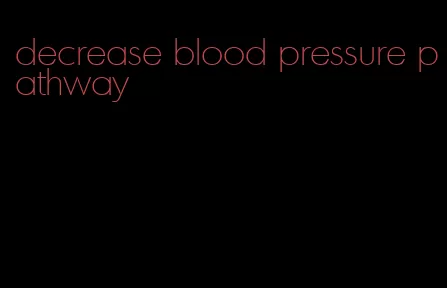 decrease blood pressure pathway