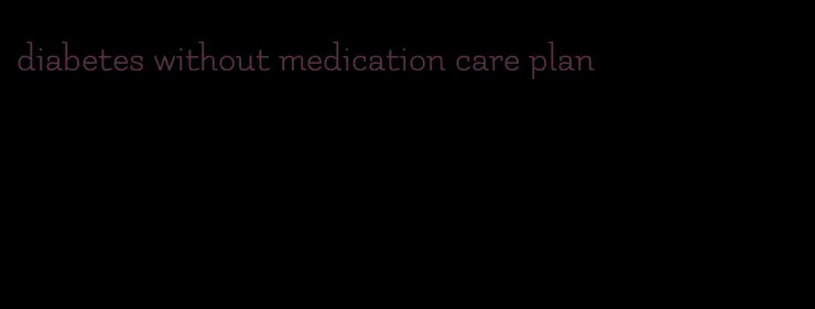 diabetes without medication care plan