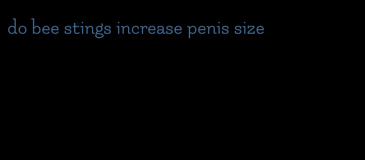 do bee stings increase penis size
