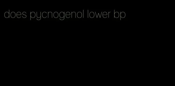 does pycnogenol lower bp
