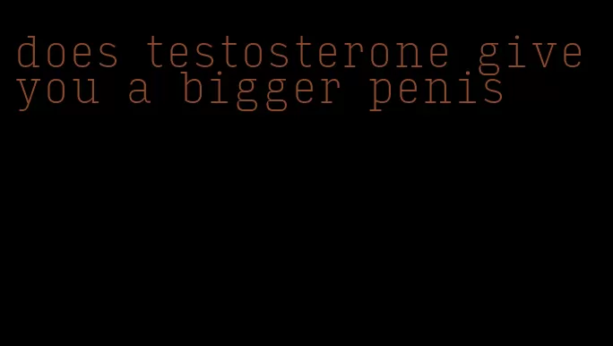 does testosterone give you a bigger penis