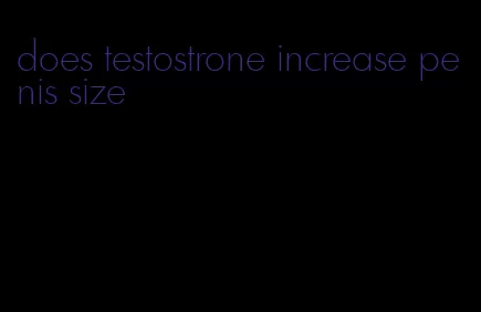 does testostrone increase penis size