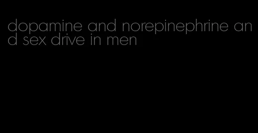 dopamine and norepinephrine and sex drive in men
