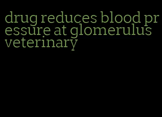 drug reduces blood pressure at glomerulus veterinary