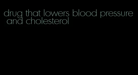 drug that lowers blood pressure and cholesterol