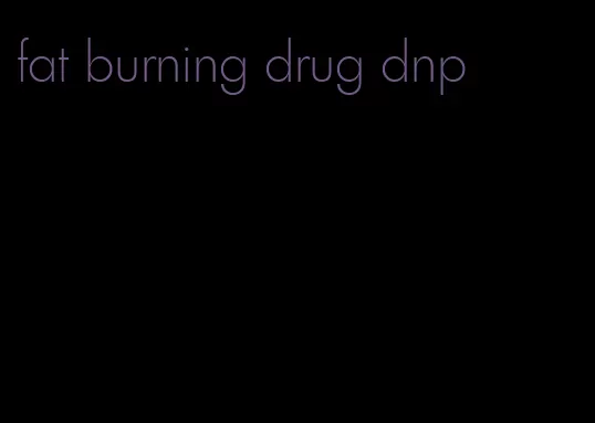 fat burning drug dnp