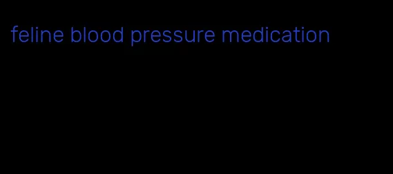 feline blood pressure medication
