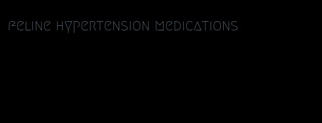feline hypertension medications