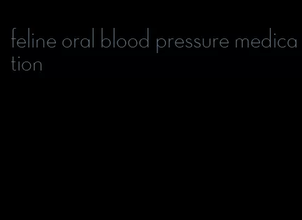 feline oral blood pressure medication
