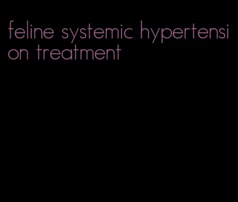 feline systemic hypertension treatment