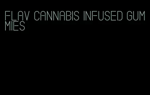 flav cannabis infused gummies