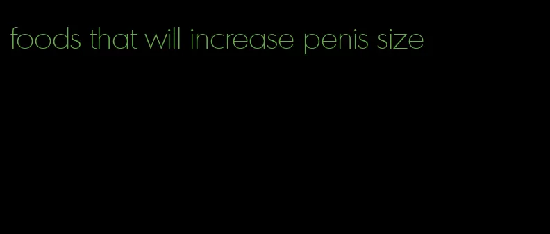 foods that will increase penis size