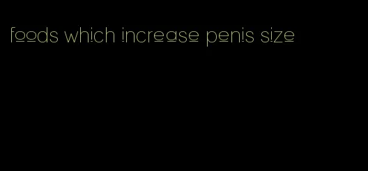 foods which increase penis size