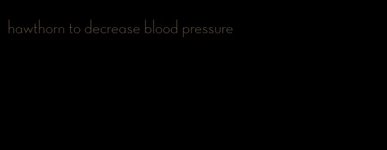 hawthorn to decrease blood pressure