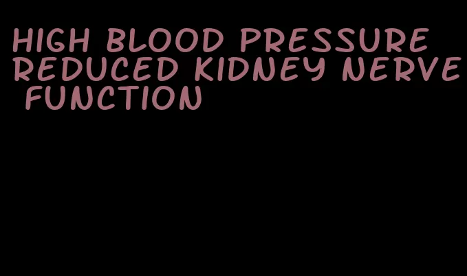 high blood pressure reduced kidney nerve function