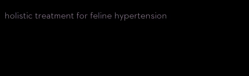 holistic treatment for feline hypertension